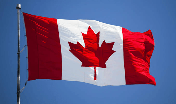 Can You Recognize These National Flags? Question 11