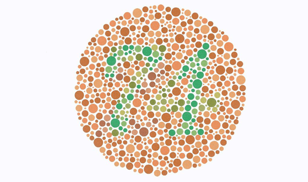 시력 & 시각 인지 챌린지: 당신의 눈은 얼마나 예리할까요? Question 10